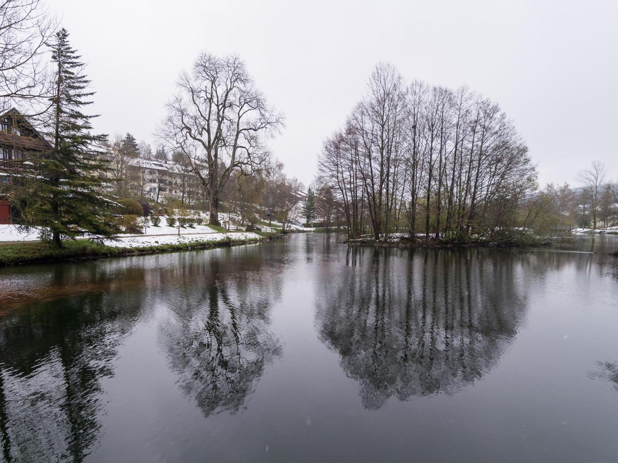 Ferienwohnungen Seeblick Unterkirnach Exterior photo