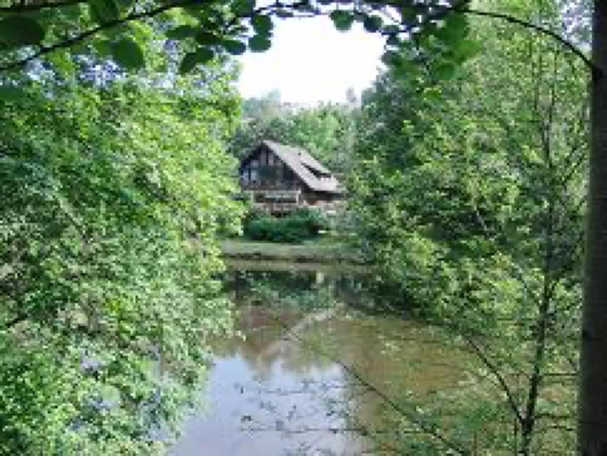 Ferienwohnungen Seeblick Unterkirnach Exterior photo