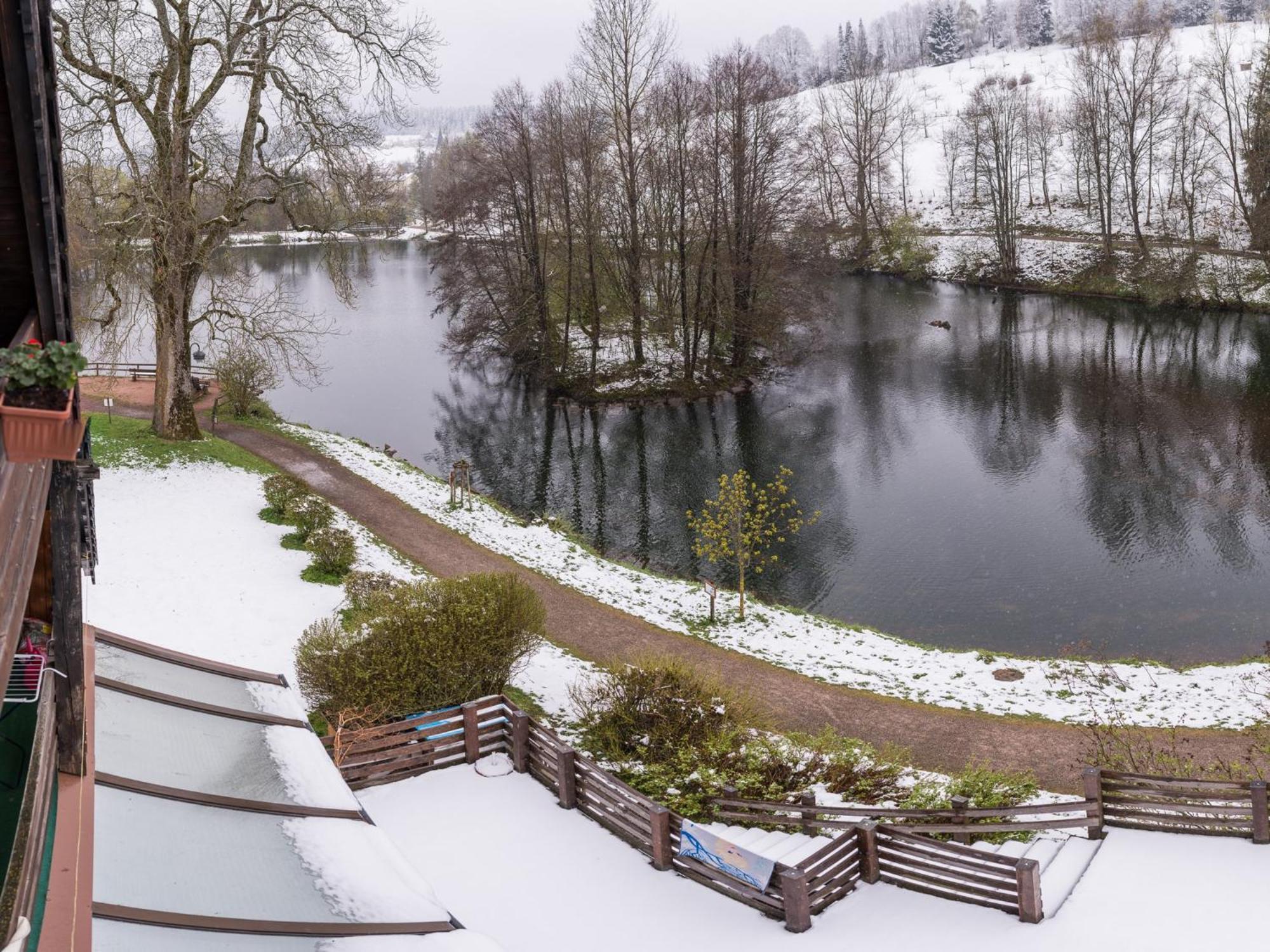 Ferienwohnungen Seeblick Unterkirnach Exterior photo